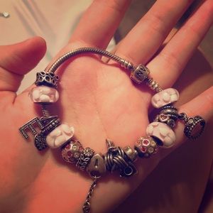 Entire pandora bracelet